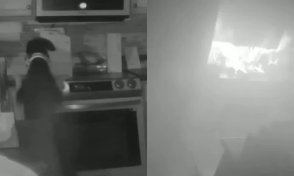 Απίστευτο σκηνικό στο Κολοράντο: Σκύλος έβαλε φωτιά σε σπίτι όταν άνοιξε κατά λάθος το φούρνο! (Βίντεο)